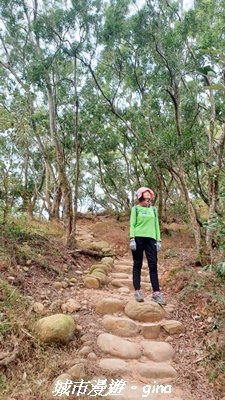 【苗栗三義】台灣百大必訪步道。 火炎山、南鞍古道O繞x火炎山下花海2954152