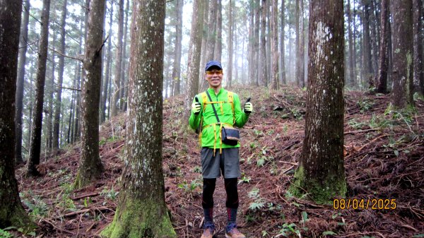 【油羅山/露營】 仙境舒活健走，雲端徜徉野趣！2887920