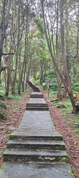 東眼山國家森林遊樂區2522643