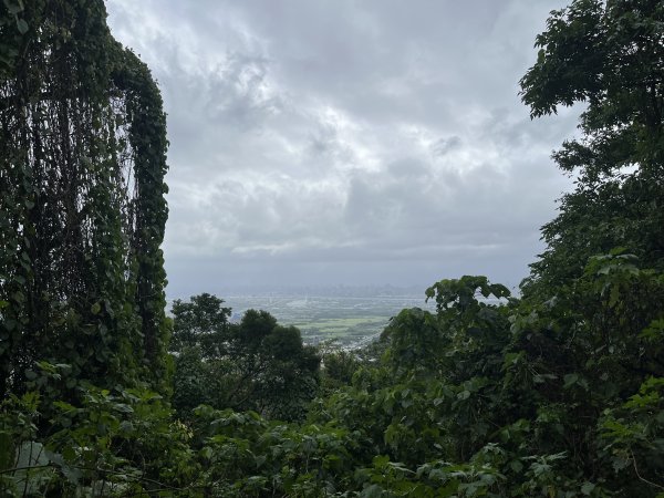 2024_1020 貴子坑親山步道2634254