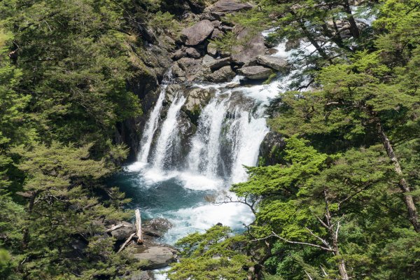 【合歡溪步道】好走來回約4小時，海拔2500M高，溪水寒冰刺骨，櫻花鉤吻鮭棲息地，賽德克巴萊拍攝點2169944