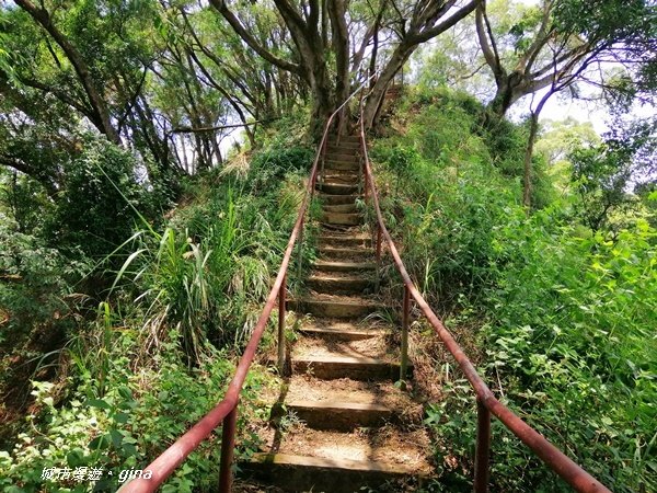 【彰化。社頭】陡直天梯好視野。 清水岩步道群~中央嶺造林步道