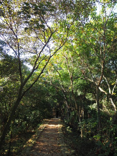 彰化隴頂古道至鳳山寺O型20181216483054