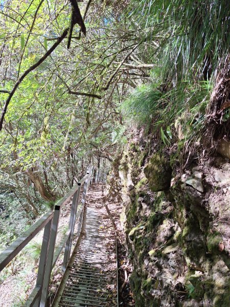 石山引水道202512112959575