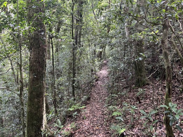 2025_0601 北插天山2802335