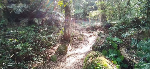 馬那邦山登山步道、雪霸國家公園1332532