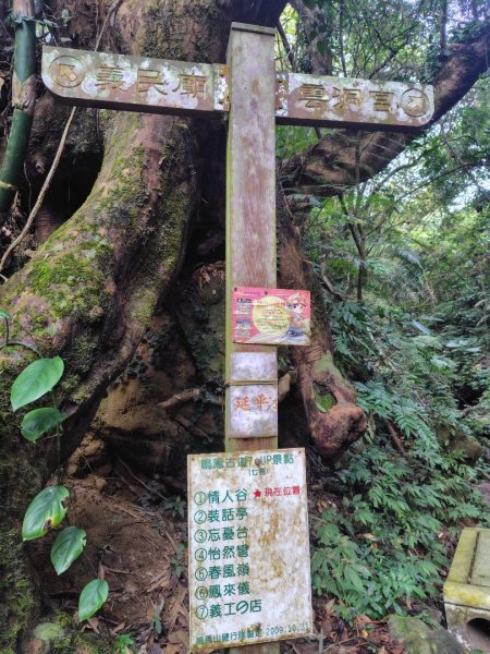 鳳鳴古道 鳳鳴山 南隘勇（南長城）古道 三湖山 八達嶺（龍骨）古道 綠色古道 延平古道2975201