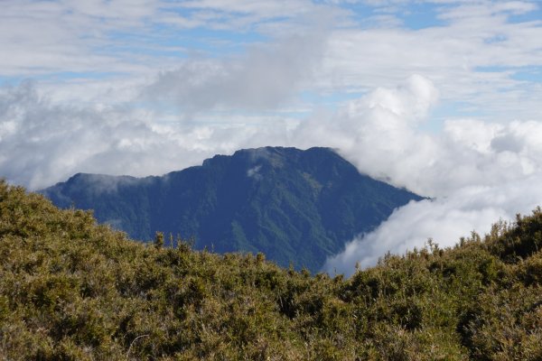 合歡北峰｜秋季雲海 2023/11/142372545