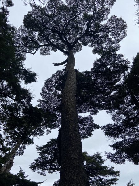 20230515-16玉山前西峰+遠望雨中的主東北2436685