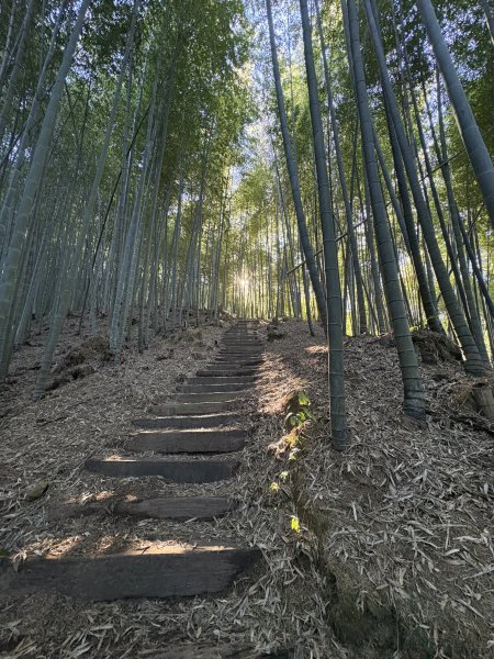 20251221嘉南雲峰、石壁山登山步道2968085