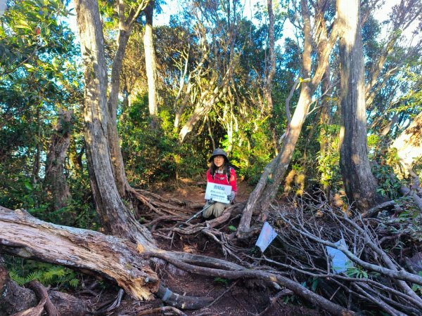 1121125 鳥嘴山縱走貴妃山2363988