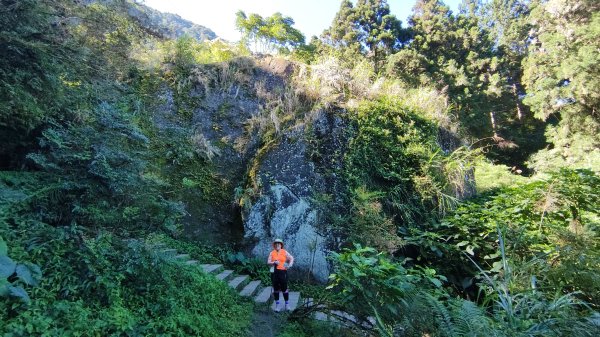 溪頭自然教育園區2938858