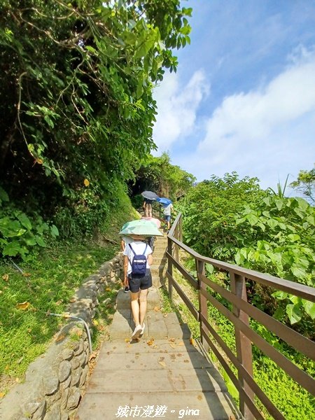 【花蓮豐濱】藍天碧海。大石鼻山步道2251441