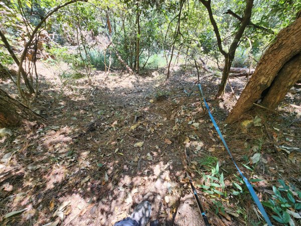 20241013東南稜上東卯山2671000