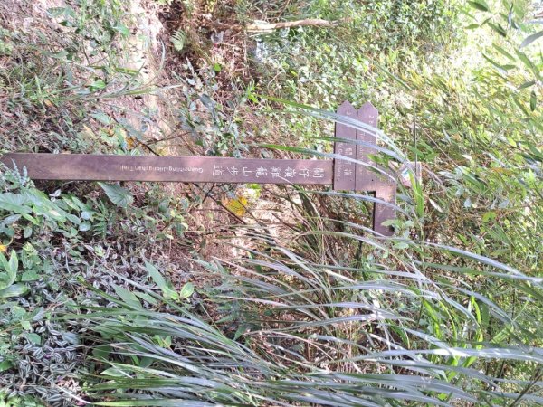 台南關子嶺枕頭山，大凍山，雞籠山步道3123321
