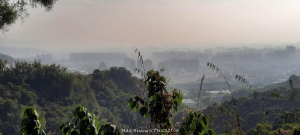 《台中》登山市集｜大坑9及9_1號步道上觀音亭202512202966545