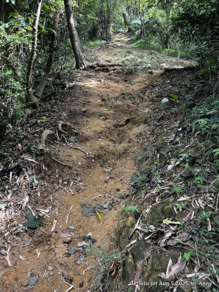 連走微笑山線第一段＋第二段（大棟山系）2853036