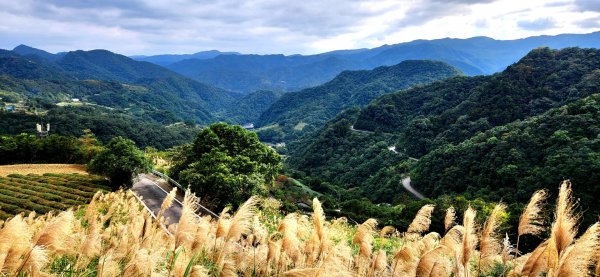 皇帝殿，坪林獅公髻尾山，文山指南宮千階步道（竹柏參道），十六分山，貓空尖，絹絲瀑布步道1971285