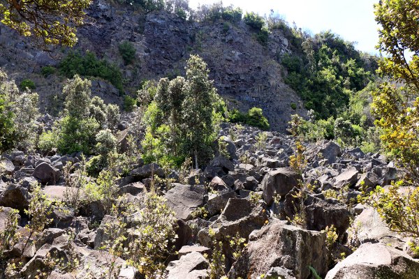 夏威夷火山國家公園613280