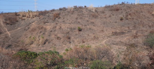 《台中》短暫暖陽｜龍井竹坑南寮步道O繞202601042976416