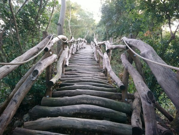 大坑步道全包一起登( 2 3維修)747618