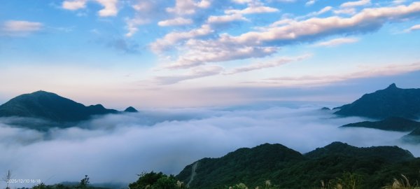 #樹梅坪 #金瓜石 12/102958913