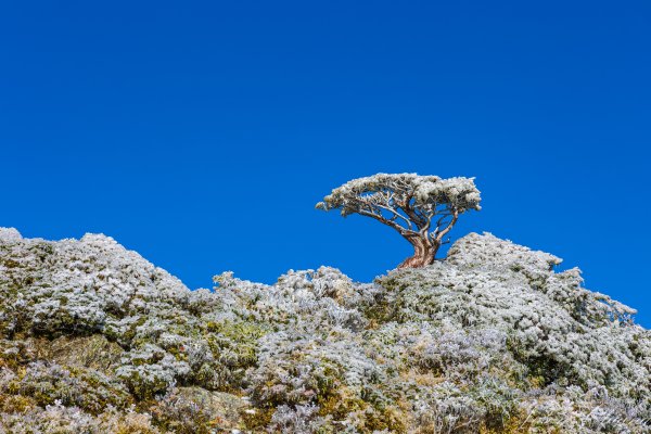 南二段撤退行2743218