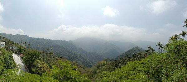 20230429_獨立山步道2134805