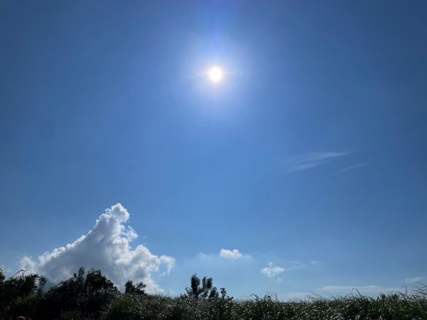 竹篙山山腰古道2204061