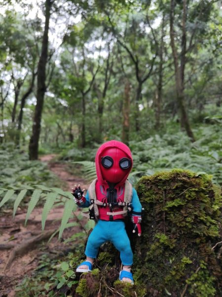 2023.12.14 鵲子山2804609