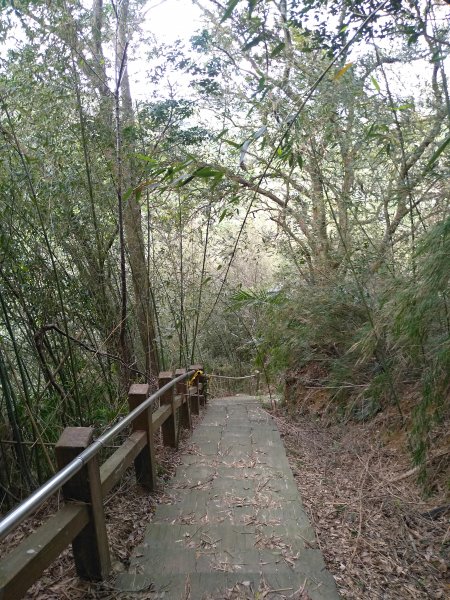 山塘背登山步道-竹林秘境1606211