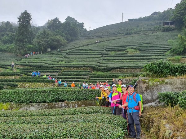 【雲嘉】後棟山連走大二尖山1478487