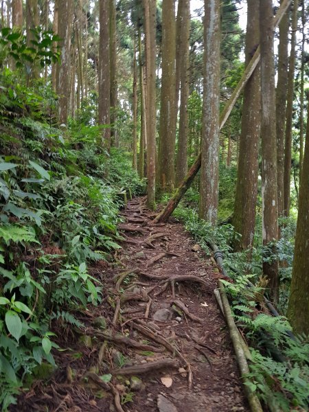 小百岳集起來-加里山2185852