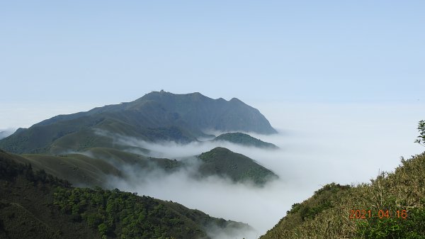 陽明山包場再見雲海04161350962