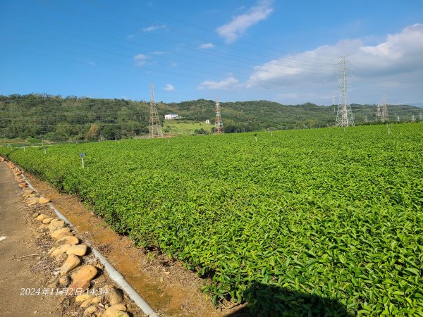 橫山小百岳2659362