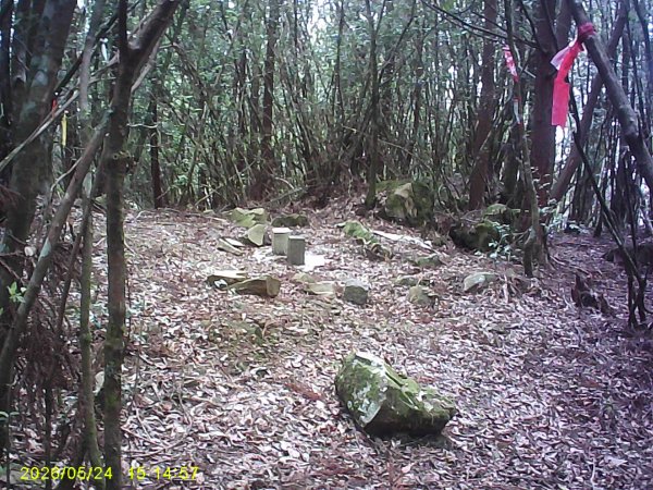 台21號公路的同富(埔沙)山3061848