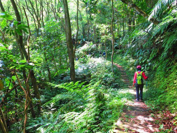 三峽朝聖之路:白雞山行修宮至紫微天后宮373612