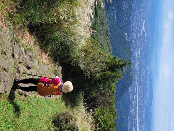 苗圃-七星山主,東峰-大屯山主峰-二子坪-202410262859684