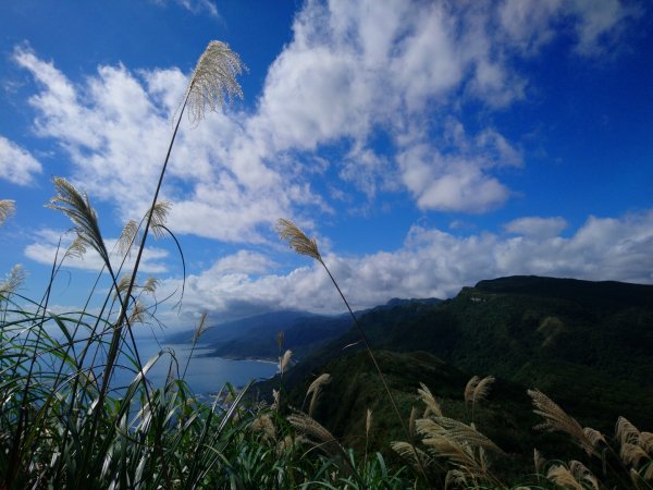 雪山尾稜（大里—福隆全段）1184723