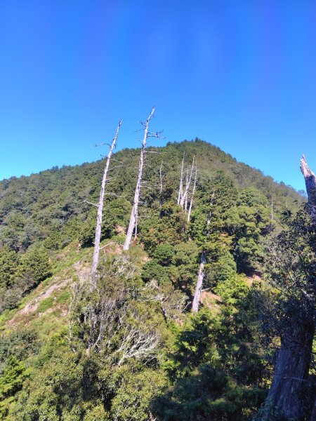 守關山南峰 守關山 守城大山2919165