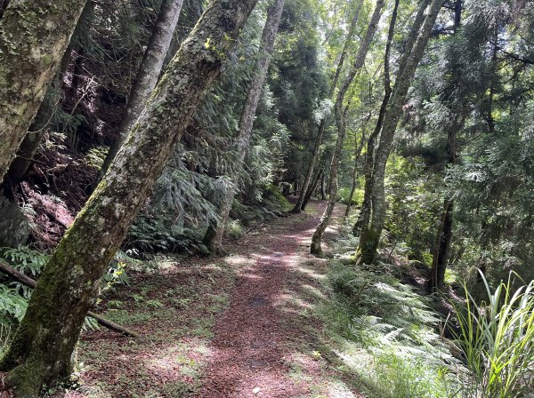 2025_0622 霞喀羅國家步道(石鹿端)2819534