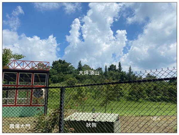 大坪頂山 (苗栗、卓蘭)2845280