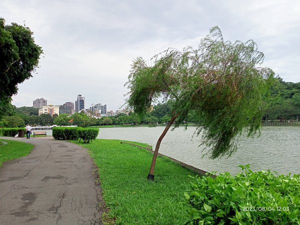 內湖碧湖公園、內湖國小、大港墘公園、文德三號公園、瑞陽公園【健康大穀東、走路趣尋寶】2240554