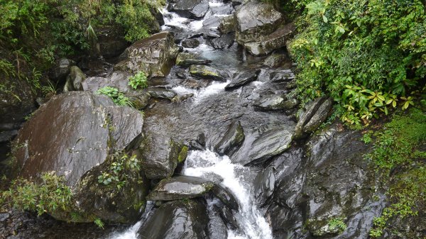 新寮瀑布步道登山健行趣（步道）1666419