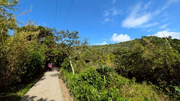 硬漢嶺步道(觀音山)2935148