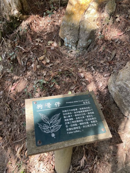 東卯山11201293059442