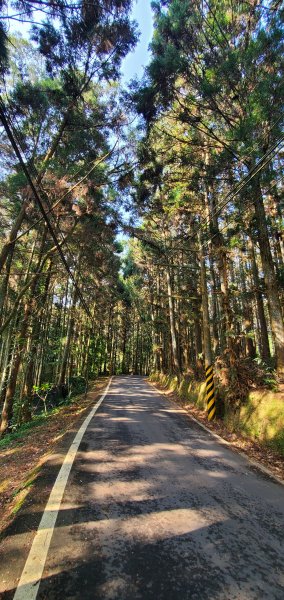 2023-03-18向天湖山步道2076596