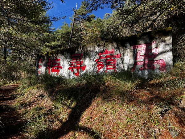 卯木山 合歡越嶺古道單人野營1940305