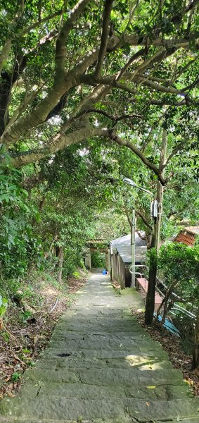 2024-06-15觀音山【福隆山、尖山(占山)登山步道】O走2528186