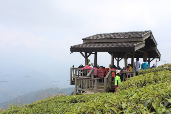 20210417雲林後棟仔山大尖二尖山1358891